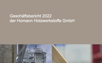 Homann Holzwerkstoffe GmbH 2022m. metinė finansinė ataskaita