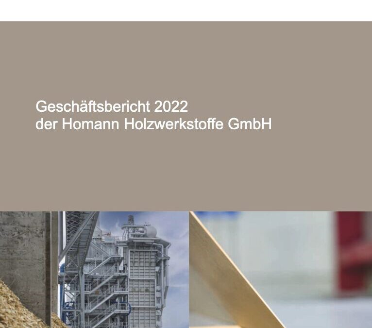 Homann Holzwerkstoffe GmbH 2022m. metinė finansinė ataskaita